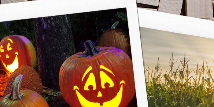 Labyrinthe d'Halloween